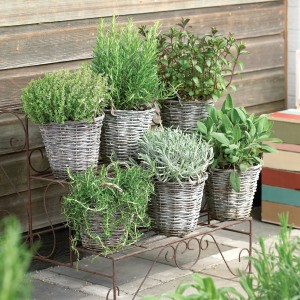 11 - Home Grown Herb Mix 11 - Home Grown Herb Mix