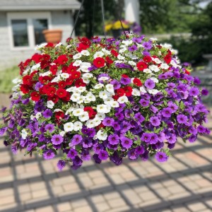 18 - Old Glory Hanging Basket 18 - Old Glory Hanging Basket