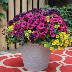 33 - Bejeweled Planter 33 - Bejeweled Planter