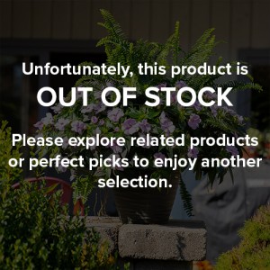 32 - Sunpatiens Orchid Mix Planter 32 - Sunpatiens Orchid Mix Planter